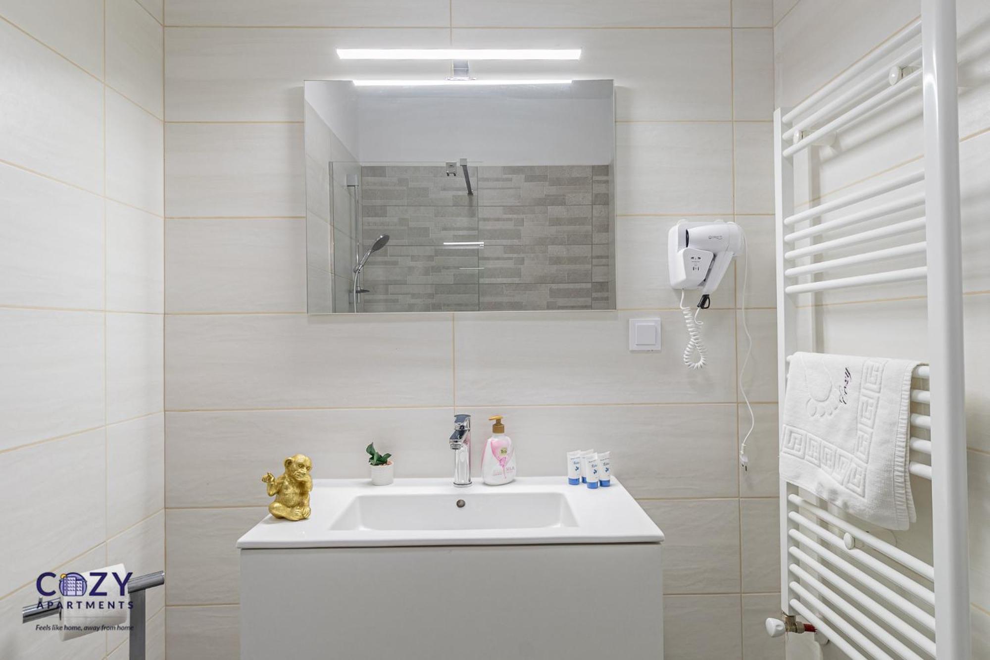 Cozy Cityscape - Near Coresi Mall #brasov Apartment Brasov
